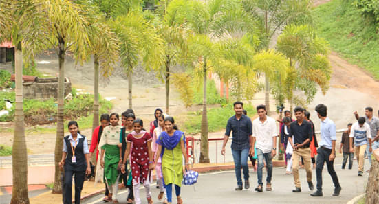 Amal Jyothi College of Engineering Kanjirappally Campus photo 9